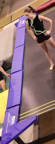 Airdrie Alberta Gymnastics Club Hiring Gymnastics Coaches Specializing Trampoline Coaching Jobs Calgary Area Gyms Hiring Trampoline Coaches