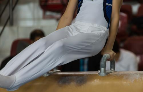 Elmira Gymnastics Coaching Jobs New York Gymnastics Coaches Hired NY Gymnastics Clubs Instructor Positions Available